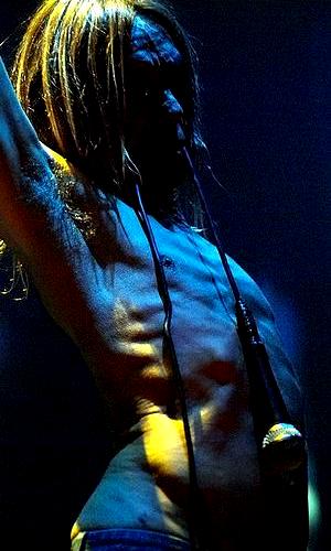 Iggy Pop